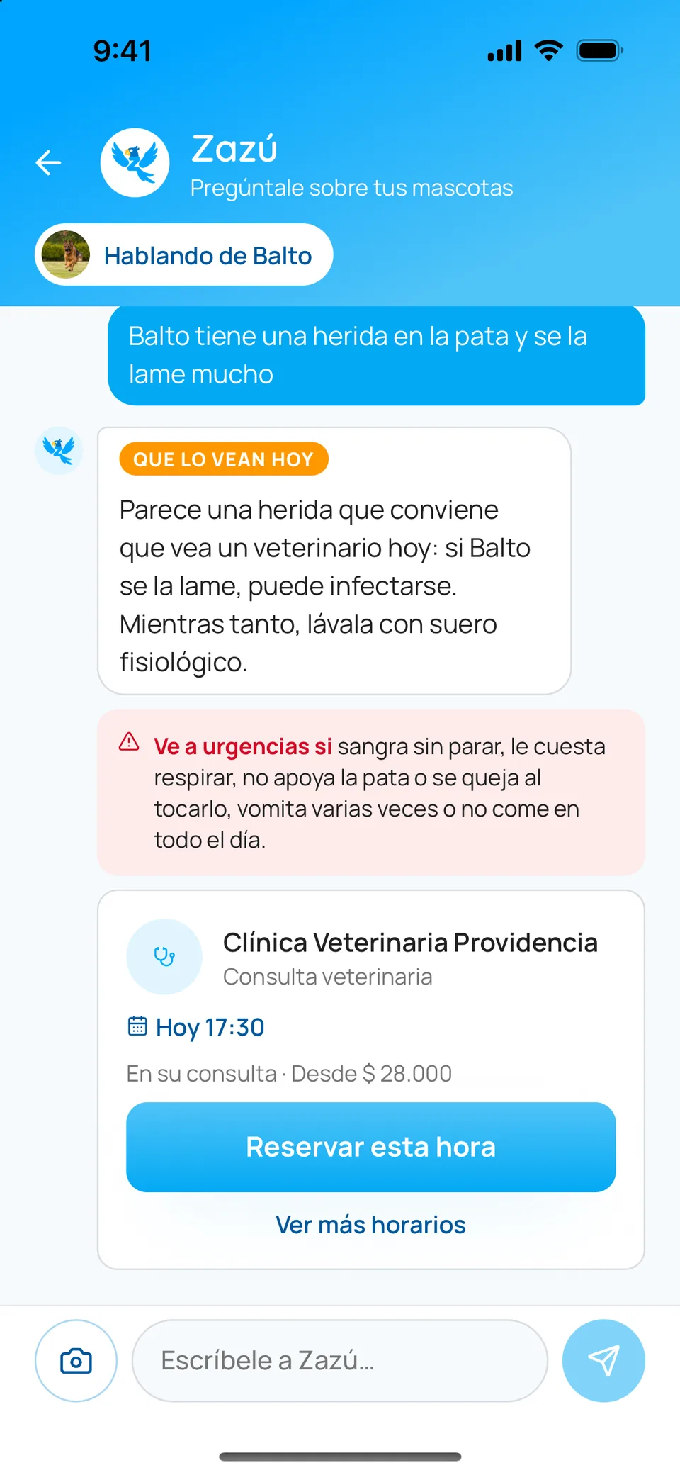 El chat con Zazú: Balto tiene una herida en la pata; Zazú dice que lo vean hoy y ofrece la primera hora libre